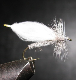 ���� CDC 023  puff caddis white � 10 